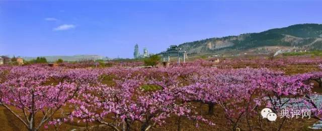 1527840364780023838.jpg 201601231503477069.jpg