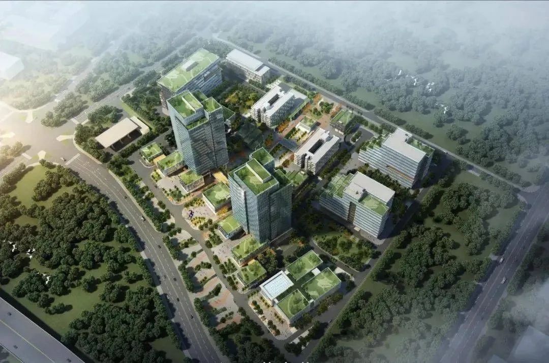 1691723157245065372.jpg 4.jpg